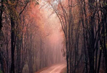 开云官网：3次关键传球+1助，佩雷拉当选与热刺一役富勒姆队内最佳球员.