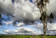 懂球帝13小时前.