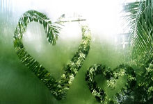 冯潇霆：很幸运赶上了中国足球的鼎盛时期 广州队没了很难过.