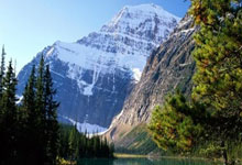 灰熊将裁掉罗斯 36岁的他过去三年合计打77场.