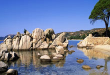 开云官网：西海岸险登顶中超！3轮不败开局，队史首平海港，邵佳一获盛赞.